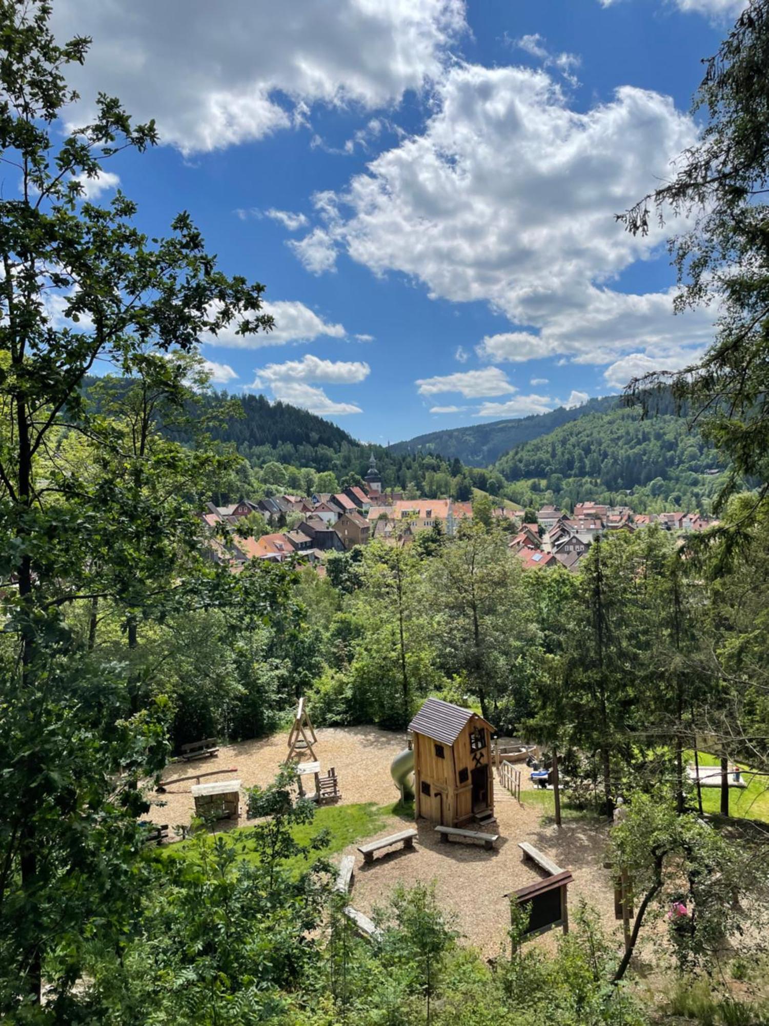 Bergstadt Apartment Lautenthal ,Modern, Stylisch, Geraeumig المظهر الخارجي الصورة